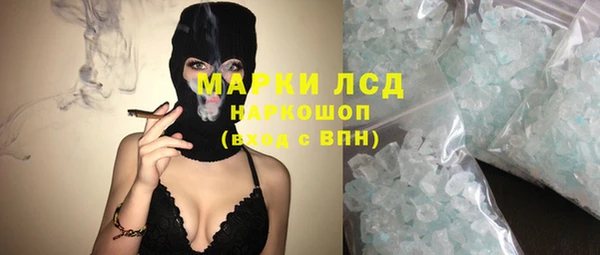 стаф Алзамай