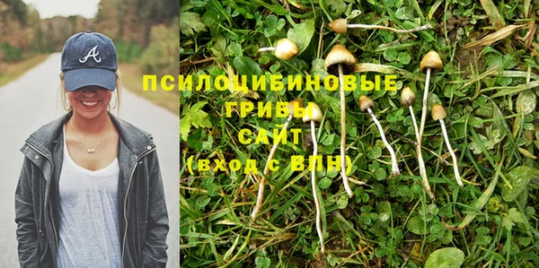 крисы Армянск