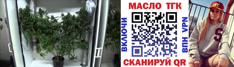 Дистиллят ТГК Wax  купить закладку  Александровск 
